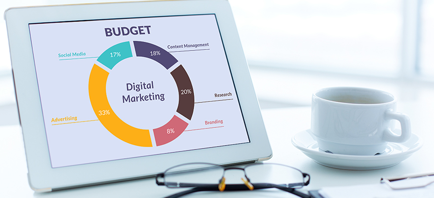 What is your Marketing Budget?