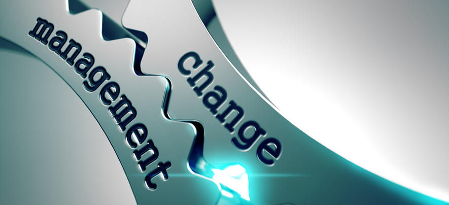 Managing change & transitions: Adapt boldly, nimbly, quickly