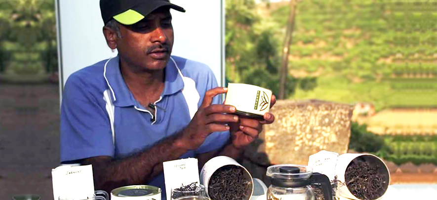 Tryst with tea - Reimagining Nilgiri tea & facilitating sustainable living in the region
