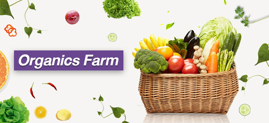 Organics Farm
