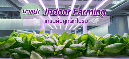 มาแน่! Indoor Farming เทรนด์ปลูกผักในร่ม