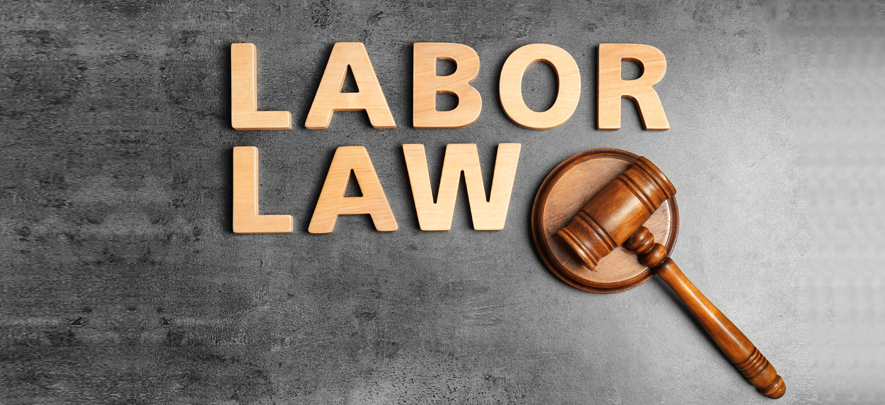 Government proposes major labour law changes for ease of compliance