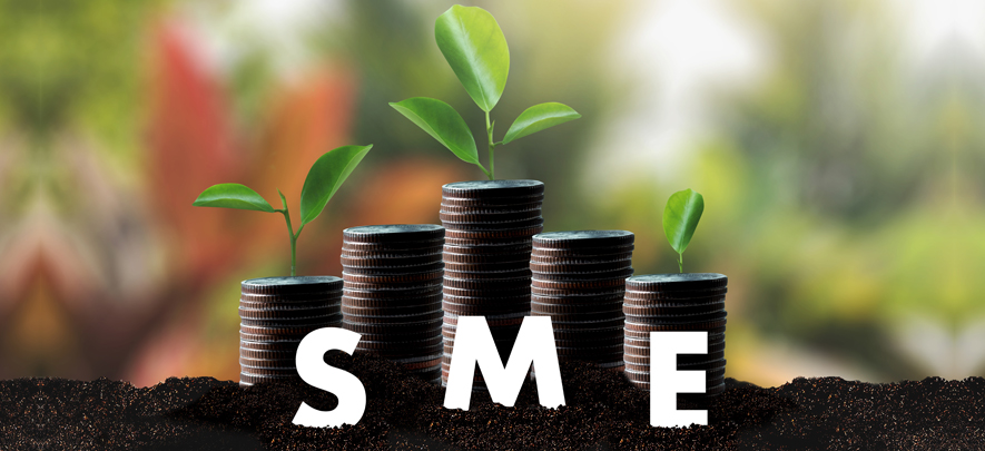 Expert Committee Report on Micro, Small and Medium Enterprises (MSMEs) June 2019: Registrations to avail schemes
