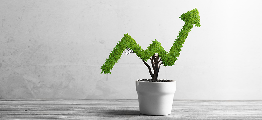 How to grow sales in a small business