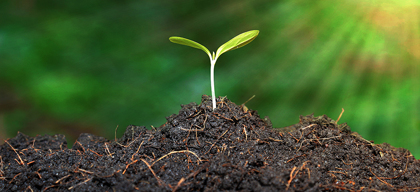 Is your soil up to the challenge?