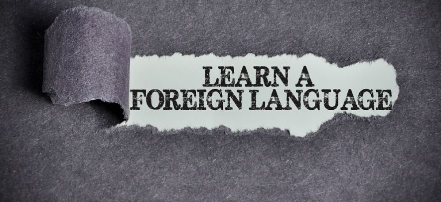 Why must foreign languages be taught in primary schools?
