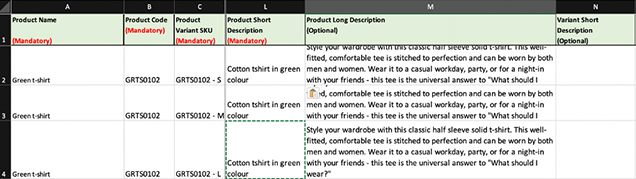 description description