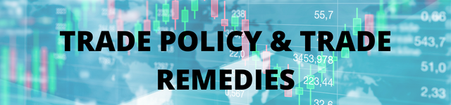 Trade Policy & Trade Remedies