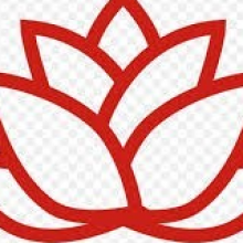 Okaamity Management Consultants (Solopreneurship)