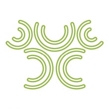 VIR NATURALS PRIVATE LIMITED
