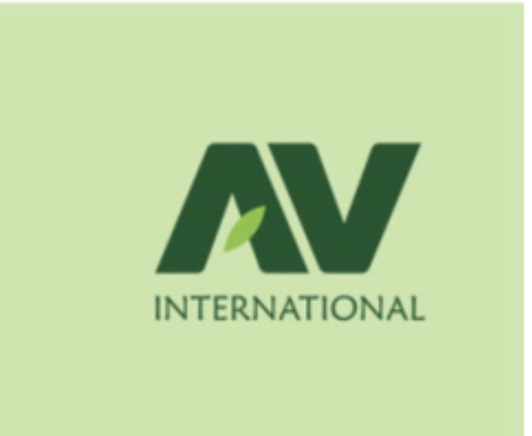 A V International logo