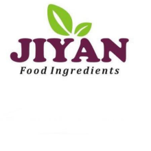 919537308441 logo