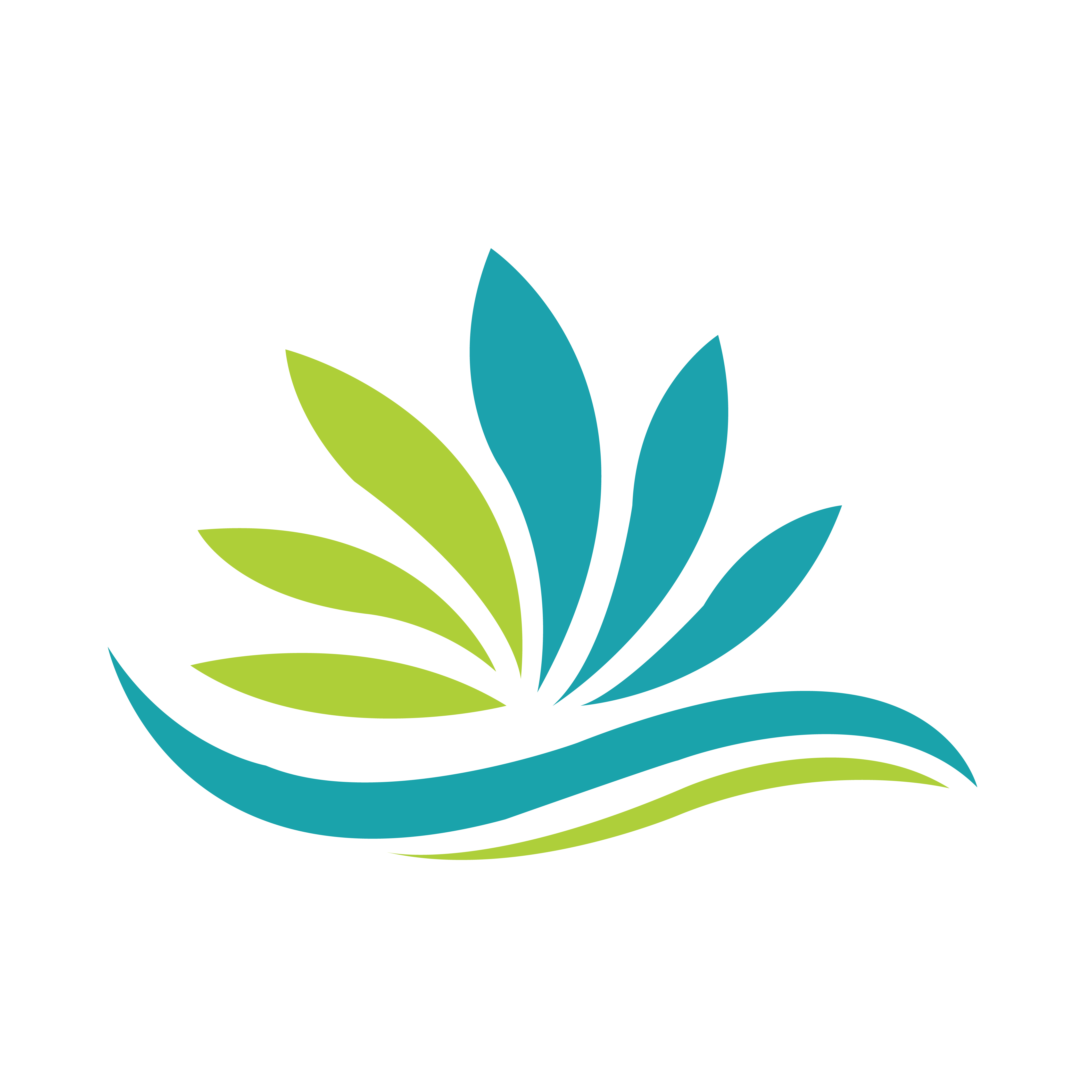 AICARE INDUSTRIES PRIVATE LIMITED logo