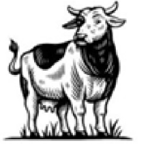 Gaushakti Products logo