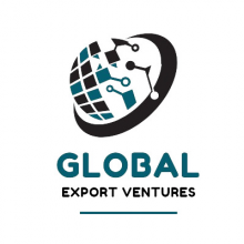 GLOBAL EXPORT VENTURES