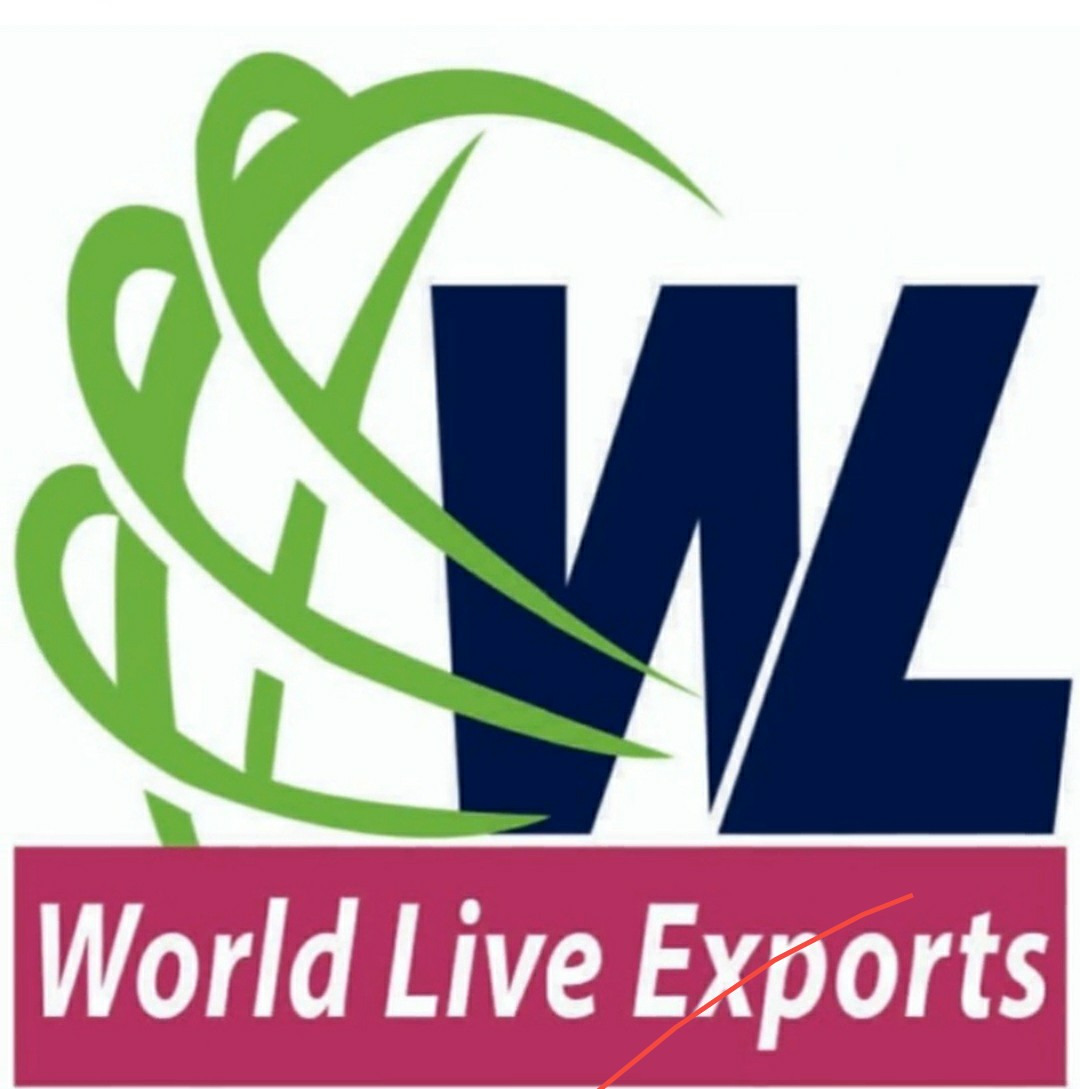 Mohan WORLDLIVEEXPORTS