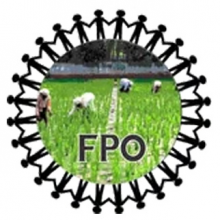 Mahendragarh Farmer PCL