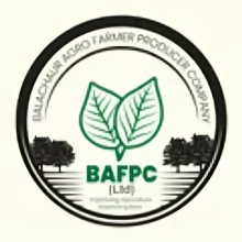 Balachaur Agro Farmer PCL