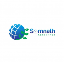 Satish Patel