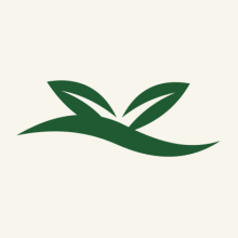 Triple K Agro Foods