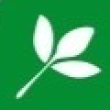 Shining Oil Enterprises LLP