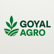 Gomsi Agrawal