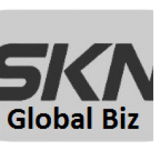 SKN Global Biz