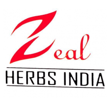 Zeal India