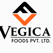 VEGICA FOODS