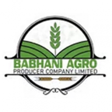 Babhani Agro PCL