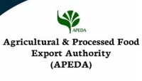 Apeda
