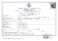 Export FIEO 2025-26