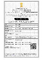 Import Export Certificate