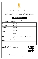 Import Export Code