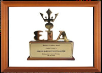 Excellency Awards Ceremony New Delhi