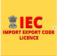 Import Export Code licence