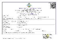 FIEO Certificate