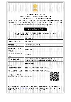 Import Export Code