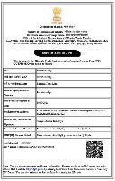 Import Export Code