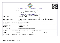 Fieo Certificate