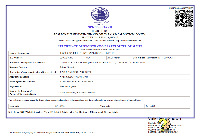 Spice Board of India Certificate