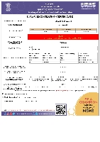 Udyam Registration Certificate