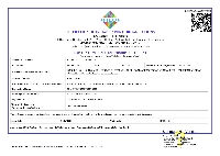 Federation Of Indian Export Organisation