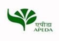 APEDA certified member