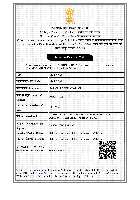 IMPORT - EXPORT LICENSE