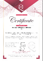 QIB CERTIFICATE - SSEI