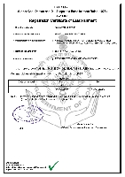 Shop & Establishment Registration Certificate