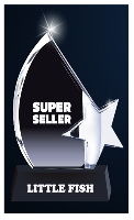 SUPER SELLER-AWARD IN FLIPKART