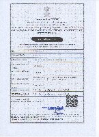 Import Export Certificate