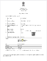 GST Certificate